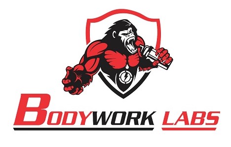 Device mark for BODYWORK LABS Device mark for BODYWORK LABS