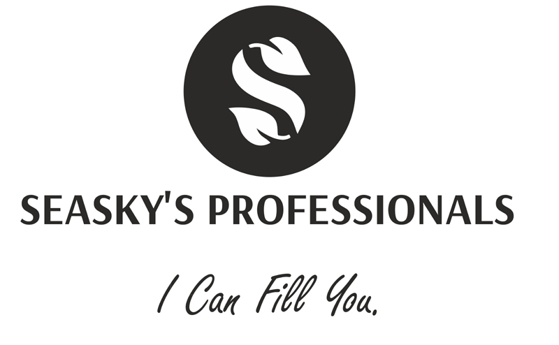 Device mark for SEASKY'S PROFESSIONALS Device mark for SEASKY'S PROFESSIONALS